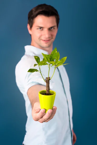 Giovane uomo che tiene un piccolo albero — Foto Stock