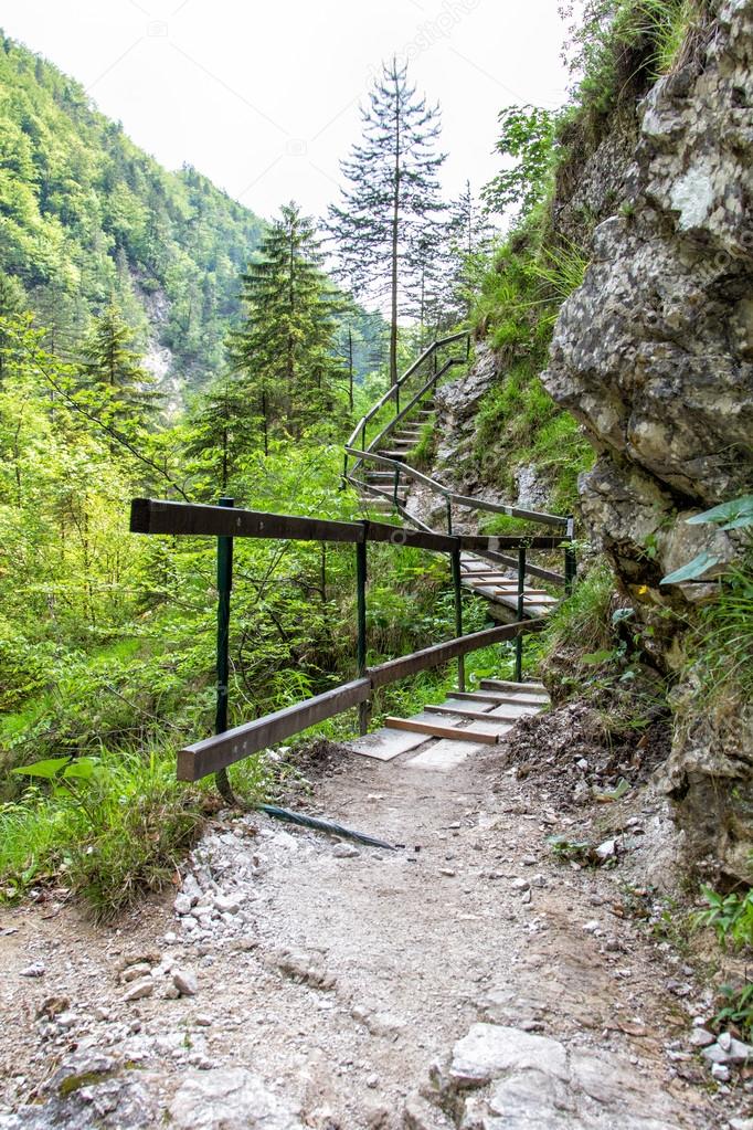 Hiking path in the Austrian Alps