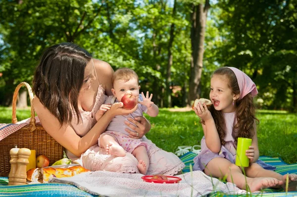 Picknick - Mutter mit Kindern — Stockfoto