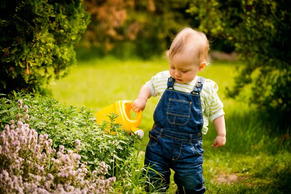 成長する植物の水まき缶で赤ちゃん — ストック写真