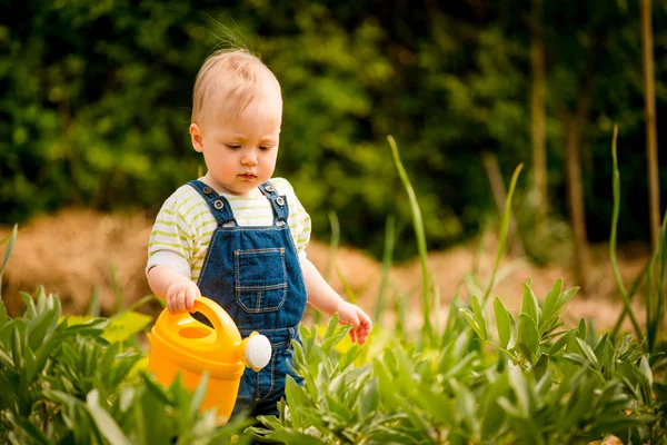 Growing plants - baby with watering can — Stock Photo, Image