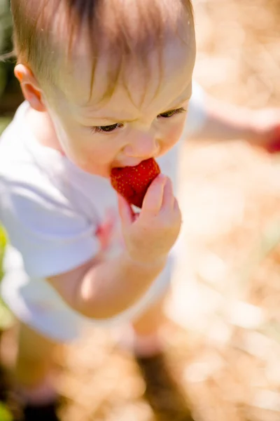 Kleines Kind isst Erdbeere — Stockfoto