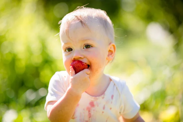 Ragazzino mangiare fragola — Foto Stock