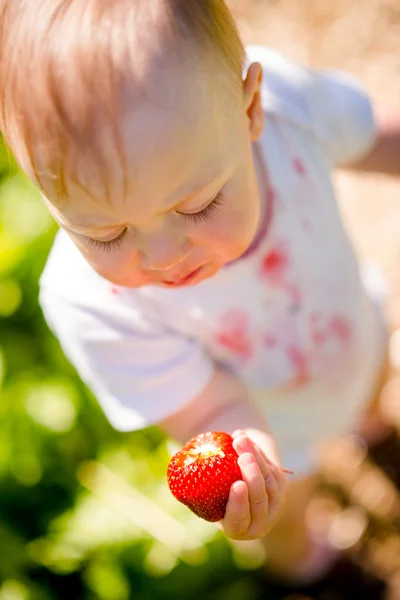 Kleines Kind untersucht Erdbeere — Stockfoto