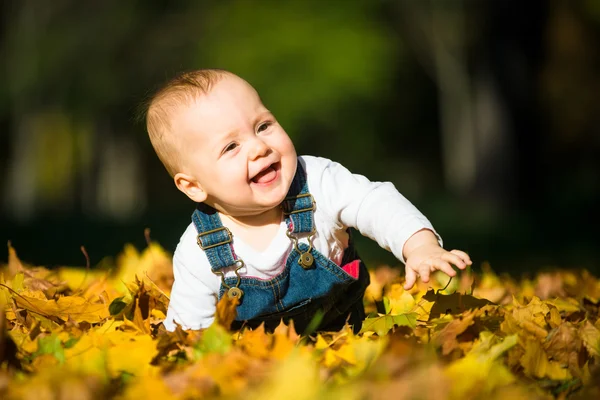 Sorriso - belo dia ensolarado de queda — Fotografia de Stock