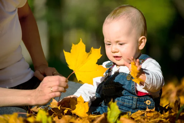 秋の気分 - 葉で遊んで赤ちゃん ストック画像