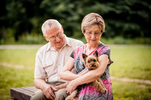 Äldre par med hund — Stockfoto
