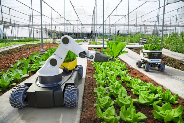 Agricultura Robótica Coche Autónomo Trabajando Granja Inteligente Tecnología Futuro Con —  Fotos de Stock