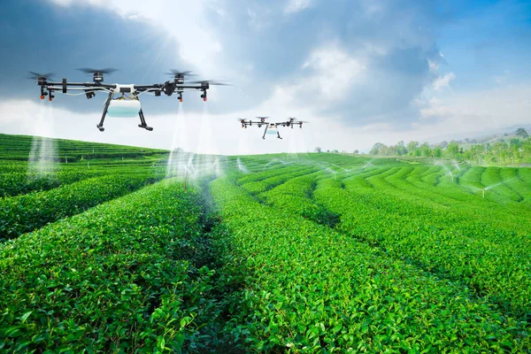 Landwirtschafts Drohne Fliegt Sprühdünger Auf Die Grünen Teefelder Konzept Smart — Stockfoto