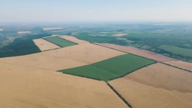 Farklı ekinlerle tarlanın havadan görünüşü