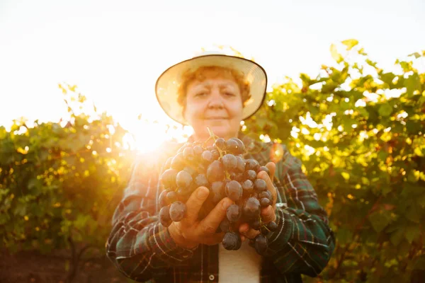 Female farmer with hat shows a large red grape,