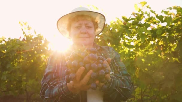 Agricultor feminino com chapéu mostra uma grande uva vermelha, olhando para a câmera. — Vídeo de Stock