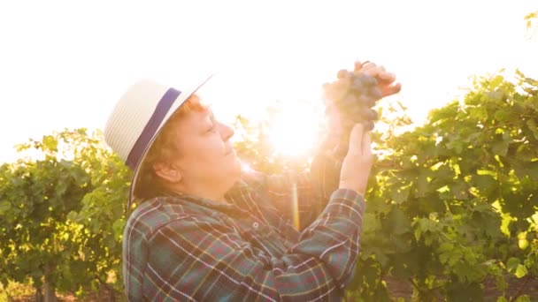 Vista lateral de mujer enólogo con sombrero muestra una gran uva roja. — Vídeos de Stock