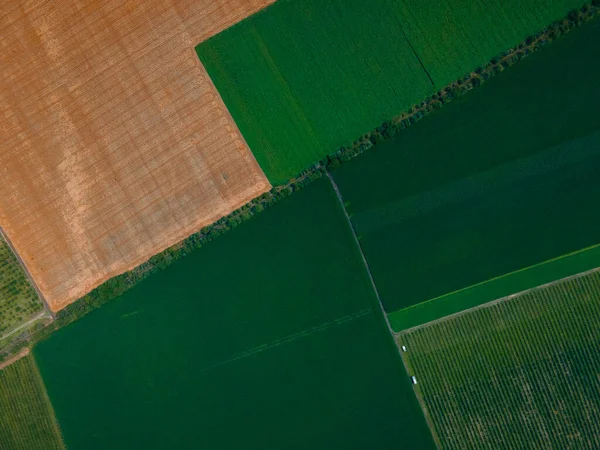 Pohled shora letecký pohled na zemědělská pole. — Stock fotografie