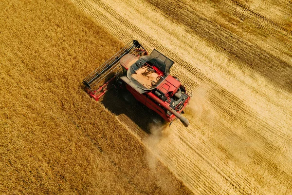Vista dall'alto vista aerea della vendemmia raccolto raccolto di grano durante l'estate. — Foto Stock