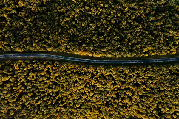 Vista aerea dei boschi autunnali e dell'autostrada che attraversa il bosco — Foto Stock