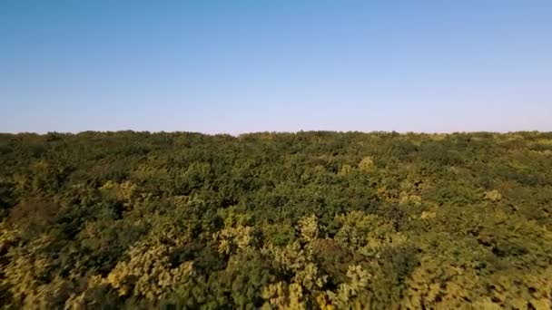 Πολύχρωμα δάση φθινόπωρο δάσος, drone πτήση πάνω από όμορφα δάση φθινόπωρο. — Αρχείο Βίντεο