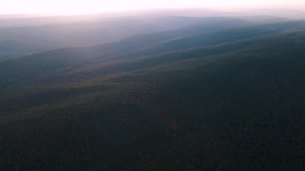 Vista aérea do drone que voa sobre a floresta na luz solar da manhã adiantada. — Vídeo de Stock