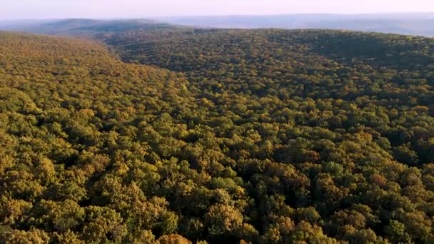 Letecký pohled na krásné podzimní stromy, červené žluté a zelené lesy. — Stock video