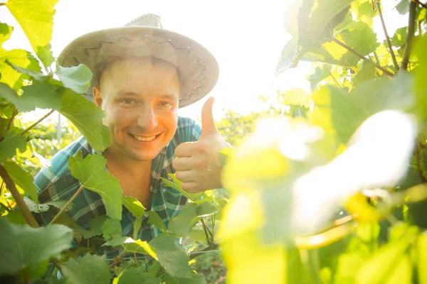 PORTRAIT WINNING FARMER MAN в сонячний літній день , — стокове фото