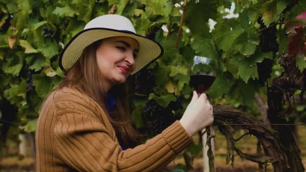 Προβολή προφίλ μιας χαρούμενης γυναίκας οινοποιός δοκιμάζοντας κόκκινο κρασί. — Αρχείο Βίντεο
