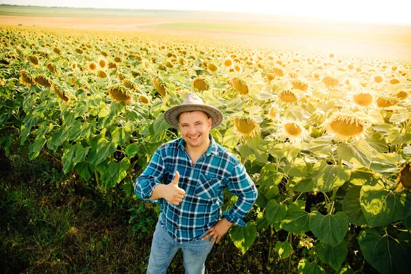 Vista superior de granjero alegre con sombrero muestra el pulgar hacia arriba y mirando a la cámara. — Foto de Stock