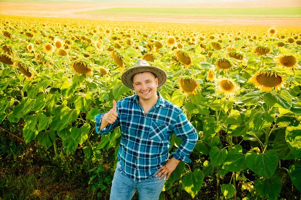 Pohled shora Veselý farmář s kloboukem ukazuje palec nahoru a dívá se do kamery. — Stock fotografie