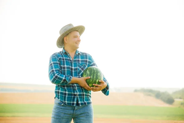 Profil farmáře s melounem v náručí, — Stock fotografie