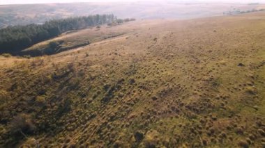 Renkli sonbahar ormanları, güzel sonbahar ormanları üzerinde İHA uçuşları..