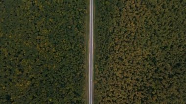 Ormandaki yeşil ağaçların arasında bir otobanın havadan görünüşü, yoldaki aracın üzerinden yükselen bir dron. 