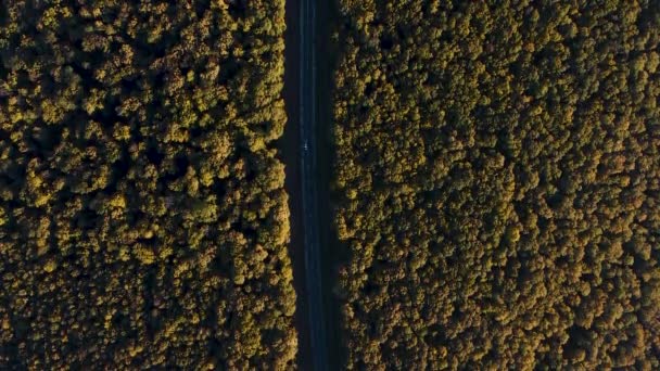 Légi felvétel autópálya közepette zöld fák az erdőben, drón emelkedik át a jármű az úton — Stock videók