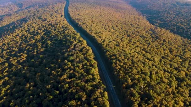 Воздушный вид на осенние леса и шоссе, пересекающее лес. — стоковое видео