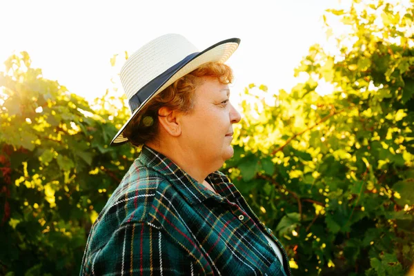 Вид збоку портрет жінки винороба з капелюхом, що дивиться на камеру на заході сонця — стокове фото