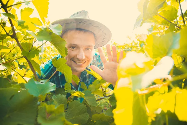 PORTRAIT WINNING FARMER MAN в сонячний літній день , — стокове фото
