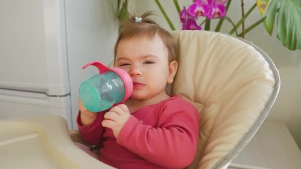 Komik bebek şişelenmiş su içiyor. — Stok video