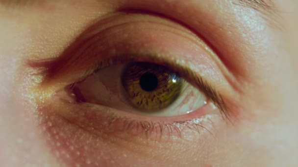Primer plano de un ojo humano macro lente — Vídeos de Stock