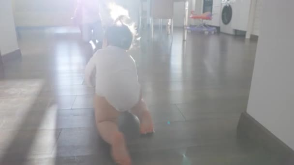 Вид сзади на маленькую девочку, ползающую по полу, малыша, исследующего дом — стоковое видео