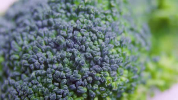 Plan rotatif de divers aliments, Brocoli vert frais — Video