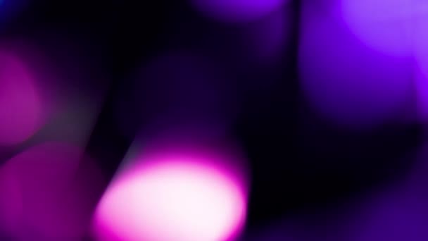 Viola con brillante rosa Floating colorato sfocato Particelle Sfondo nero — Video Stock