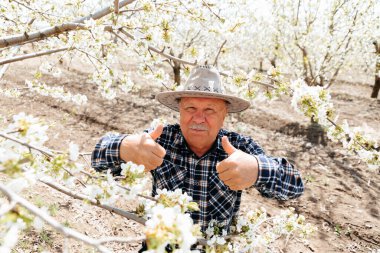 Şapkalı yaşlı, mutlu çiftçi başparmak işareti gösteriyor.