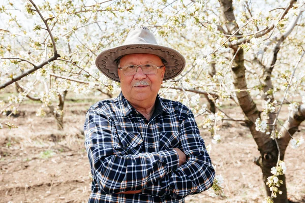 Portrait of old male with hat in orchard in spring arms crossed