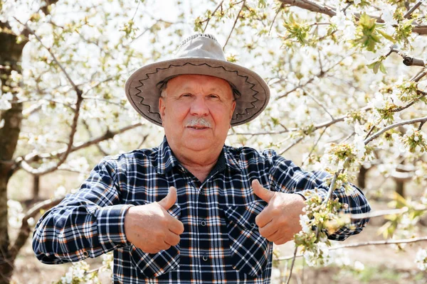 Şapkalı yaşlı, mutlu çiftçi başparmak işareti gösteriyor.