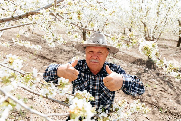 Şapkalı yaşlı, mutlu çiftçi başparmak işareti gösteriyor.
