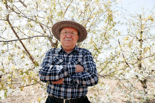 Portrait of old male with hat in orchard in spring arms crossed