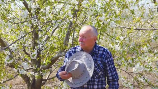 El granjero mayor se pone el sombrero y camina por el huerto. — Vídeos de Stock