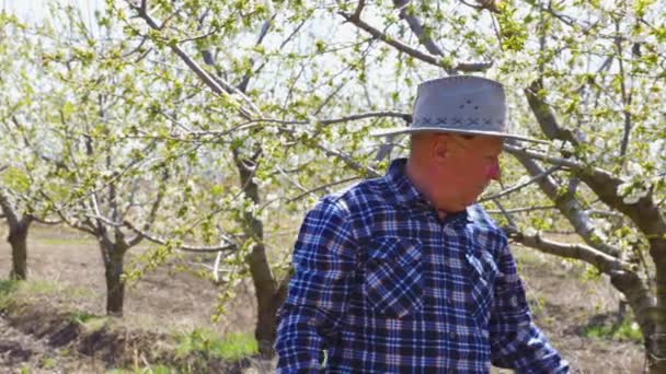 Äldre hane med hatt i fruktträdgård som analyserar blommorna på träden — Stockvideo