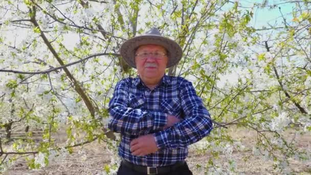 Portret van oude man met hoed in boomgaard in de lente armen gekruist — Stockvideo