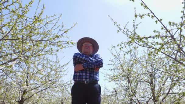 Velho agricultor com chapéu caminha no meio do pomar florido — Vídeo de Stock