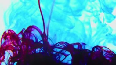 Suya renkli canlı boya damlaları, soyut renk karışımı,