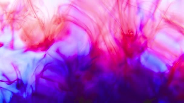 Levande färgat lila bläck i vatten — Stockvideo